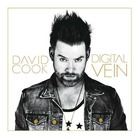David Cook, Digital Vein
